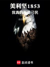 美利坚1853：我真的不是刁民